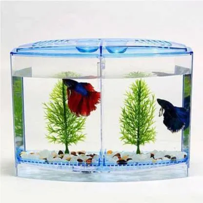 Double Rectangle Aquarium Tank