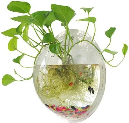 Wall Hanging Bowls for Fish