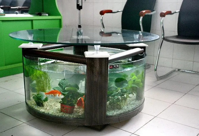 Round End Aquarium for Fish