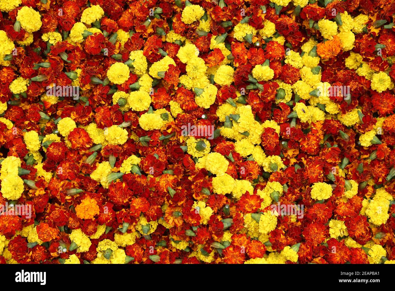 Flower Set For Puja