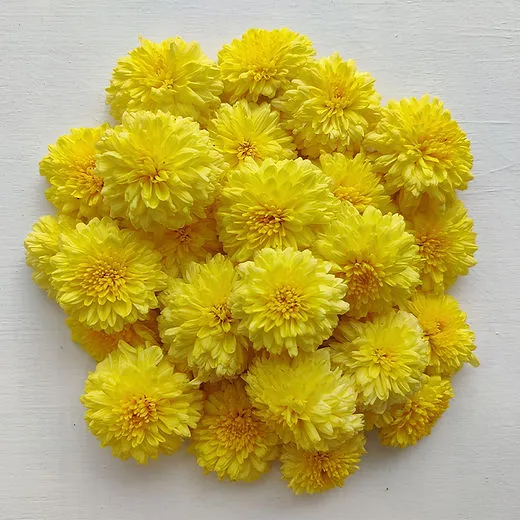 Chamanti