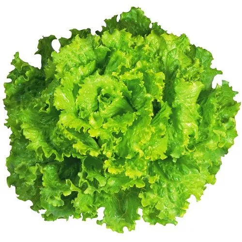 Leafy Green Lettuce – 1 Bunch