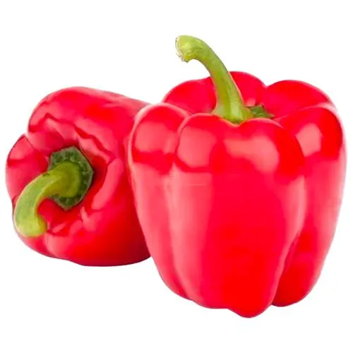 ఎర్ర క్యాప్సికం