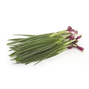 Spring Onion – 250 Gms