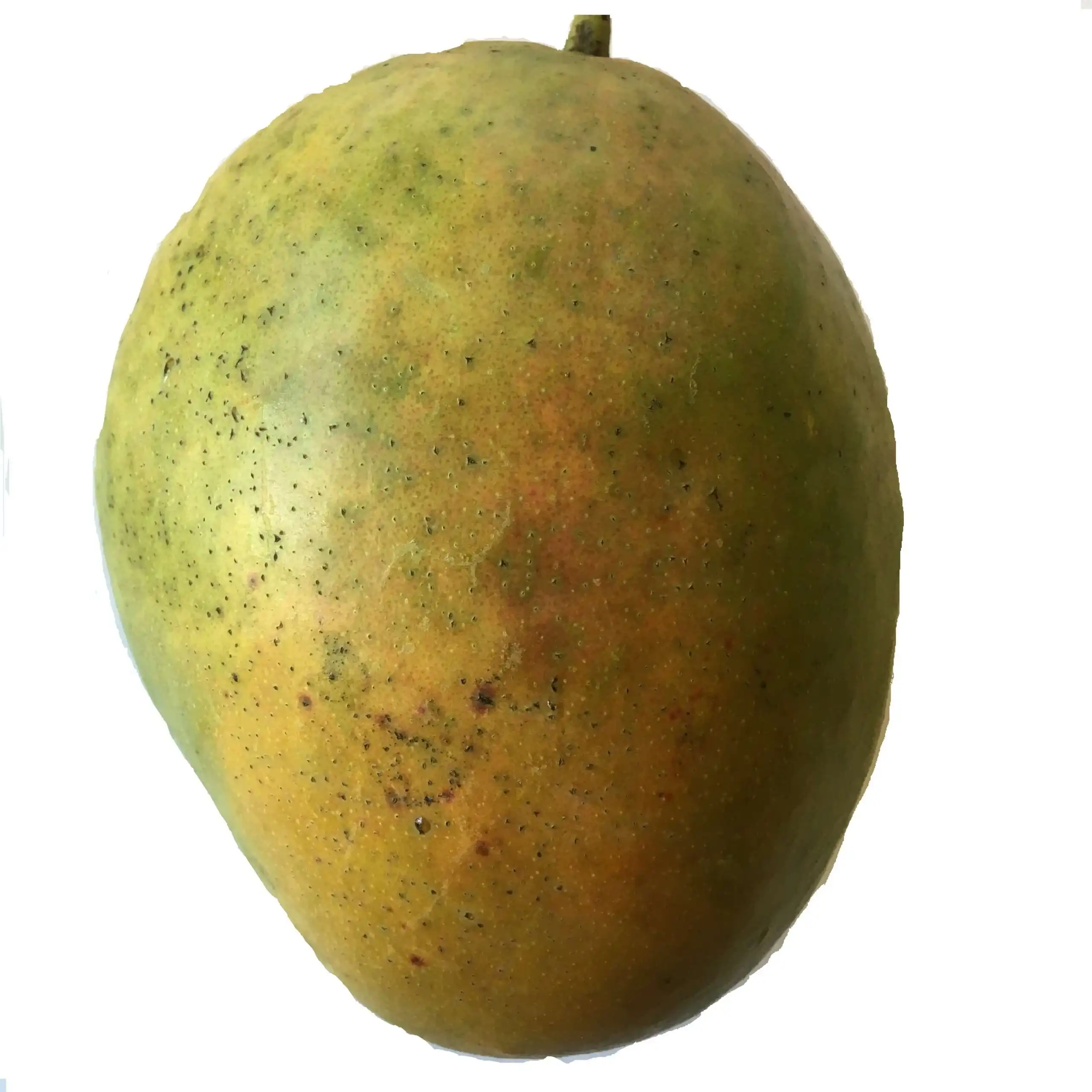 Alampur Baneshan  Mangoes – 1 Kg