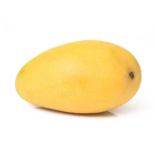 Banganapalli  Mangoes – 1 Kg
