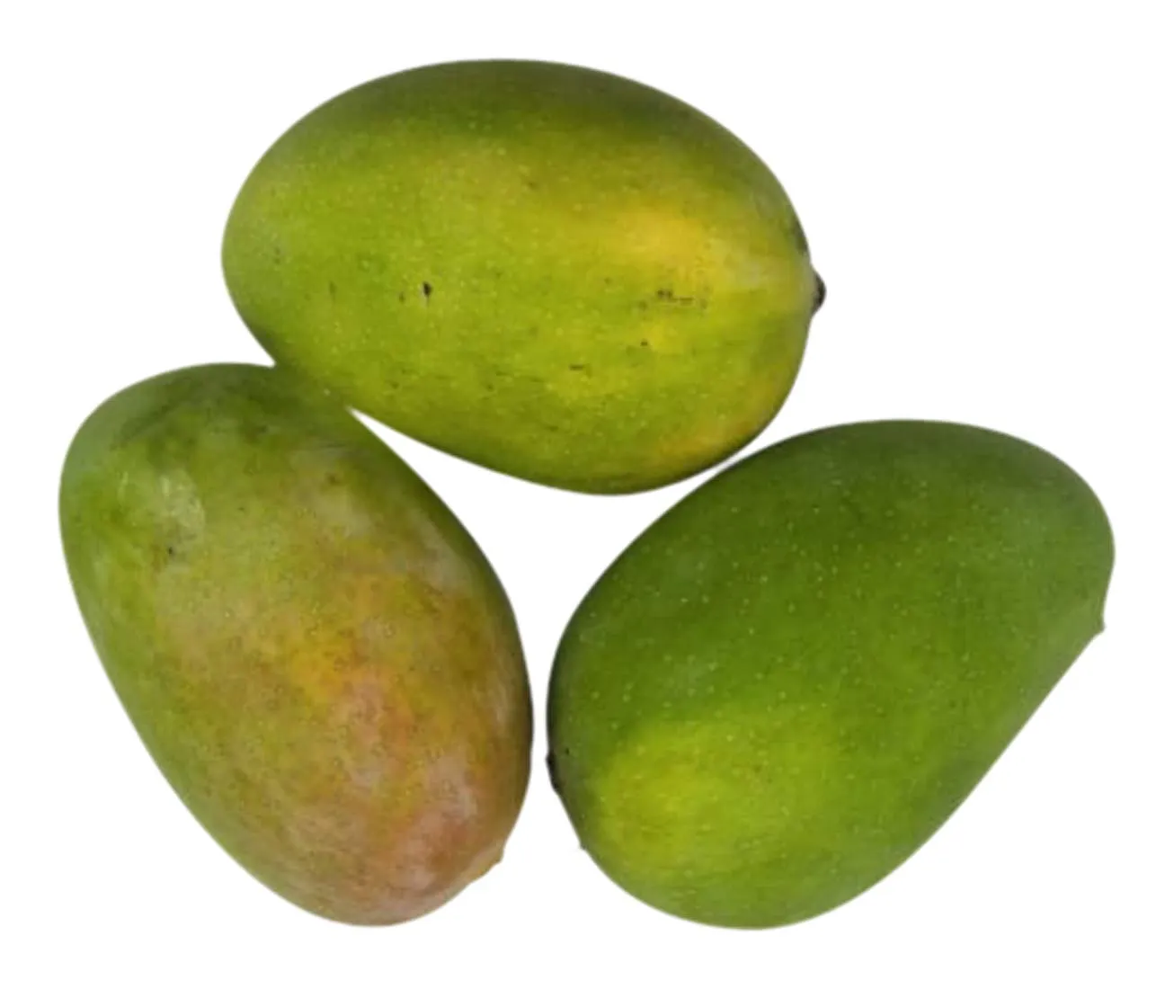 చిన్న రసాలు మామిడి