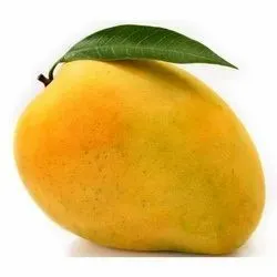 Khudri  Mangoes – 1 Kg
