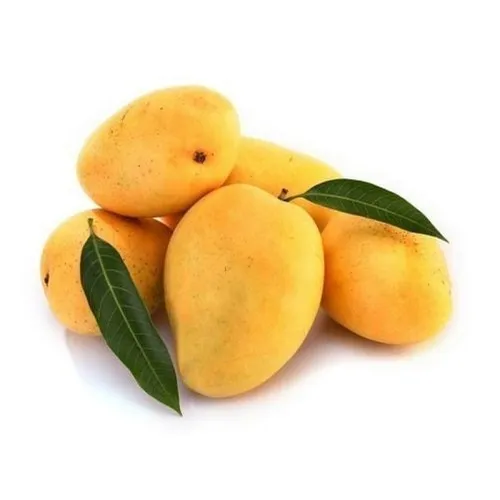 Muthalamada  Mangoes – 1 Kg