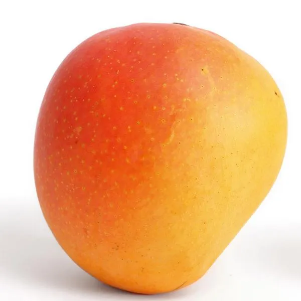 Suvarnarekha  Mangoes – 1 Kg
