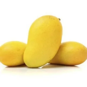 Panduvari Mamidi (panduri)   Mangoes – 1 Kg