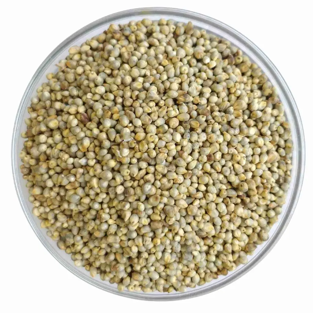 Bajra – 200 Gms