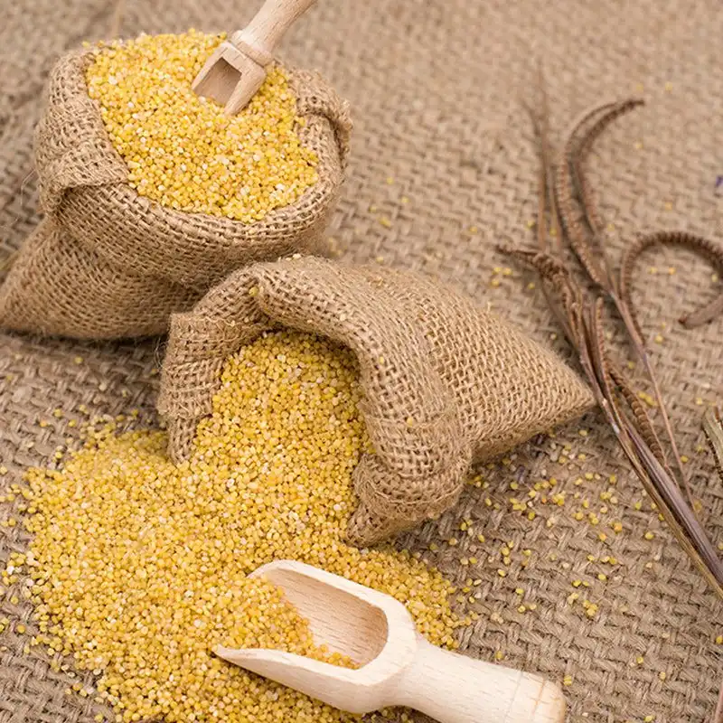 Foxtail Millet -100 Gms