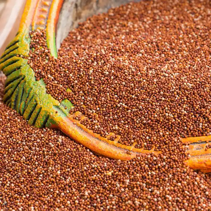 Finger millet (Ragi) – 200 Gms