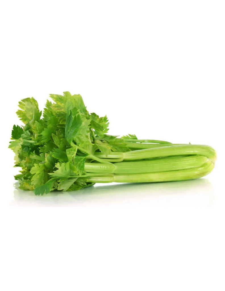 Celery – 1 Kg