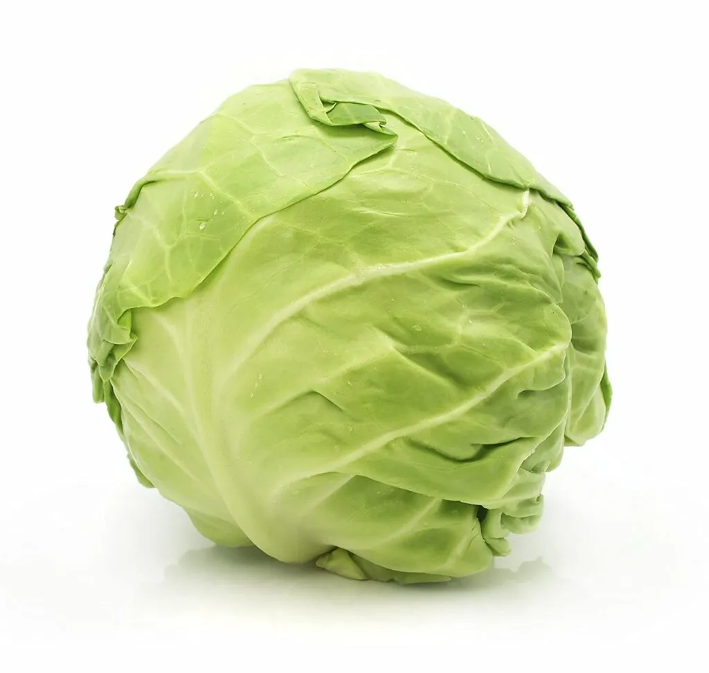 Cabbage – 1
