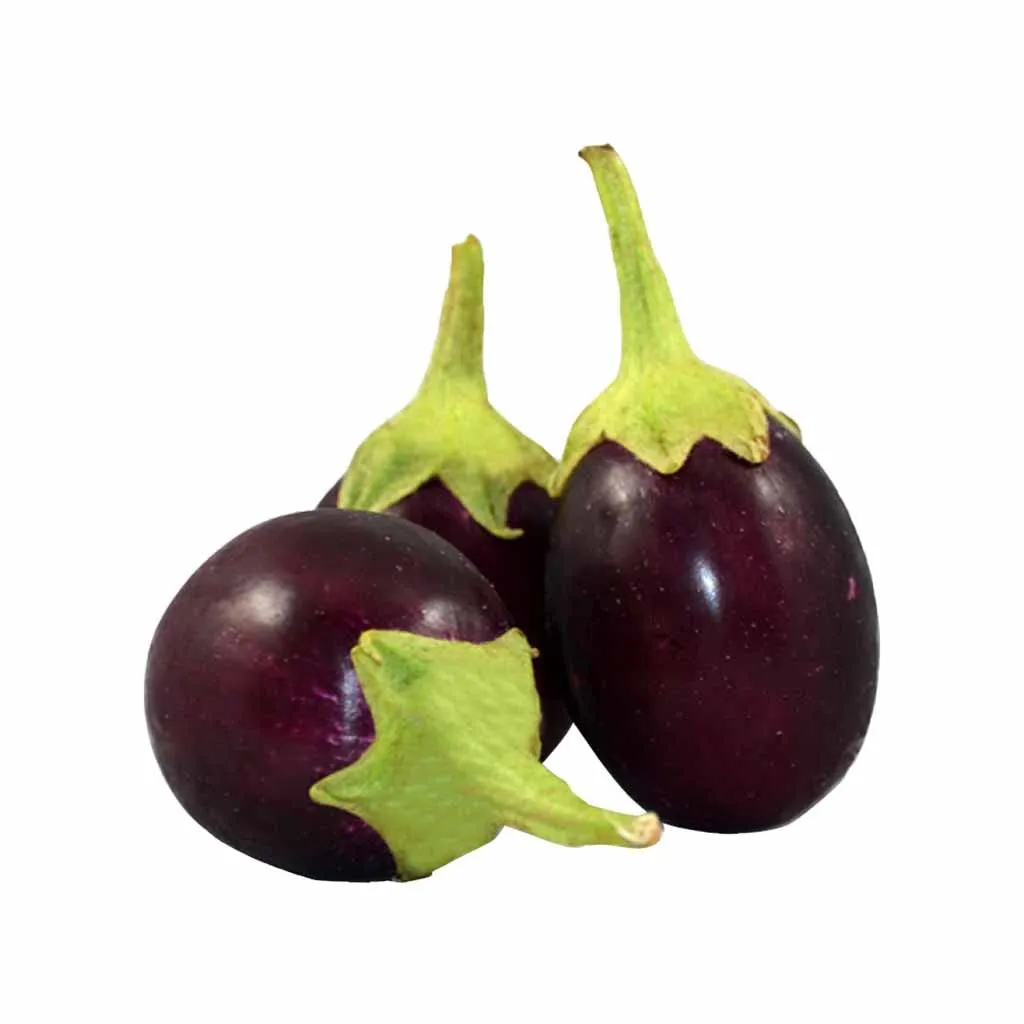 Brinjal Nagpur – 1 Kg