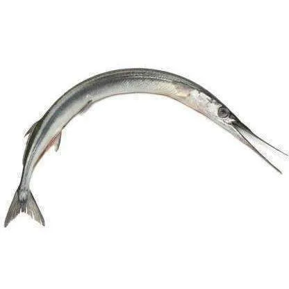 Murrel Fish (Oosi Kola)