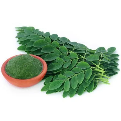 Moringa ( Munaga Aaku )
