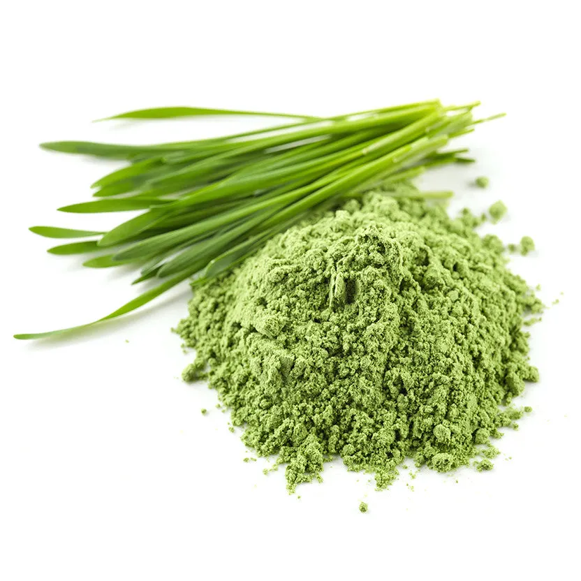 Wheet Grass Powder