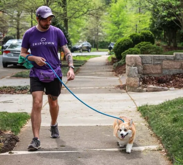 Dog Walking