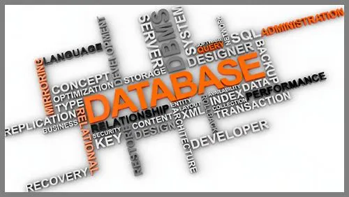 Database Training