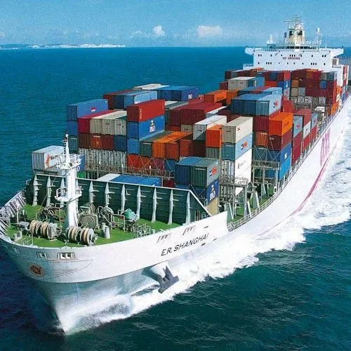 Cargo and Shipping Service