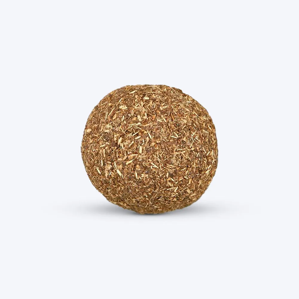 Trixie Catnip Ball with Bell Cat Toy All Ages 1