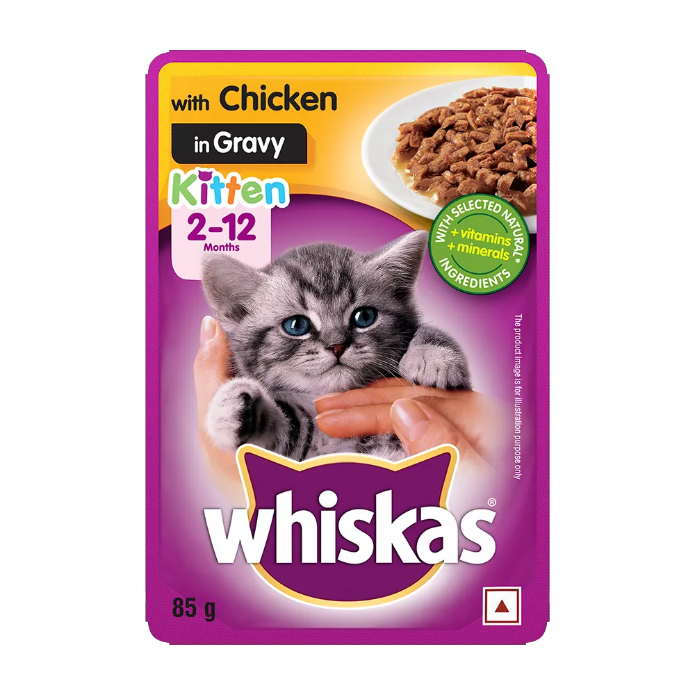 Whiskas Kitten With Chicken In Gravy   Pouch   pack of 12 Adult Cat Pack of 12
