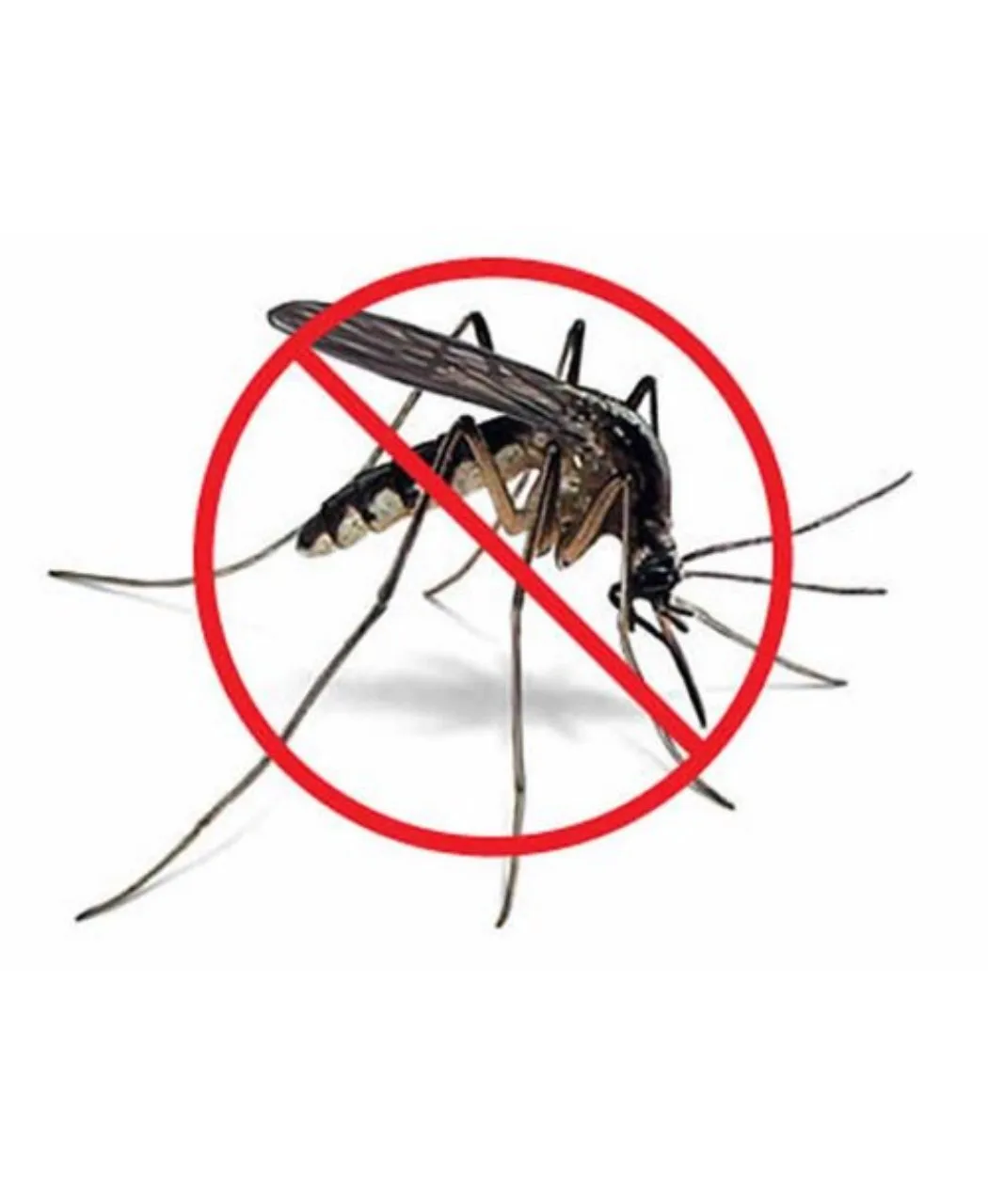Mosquito Control