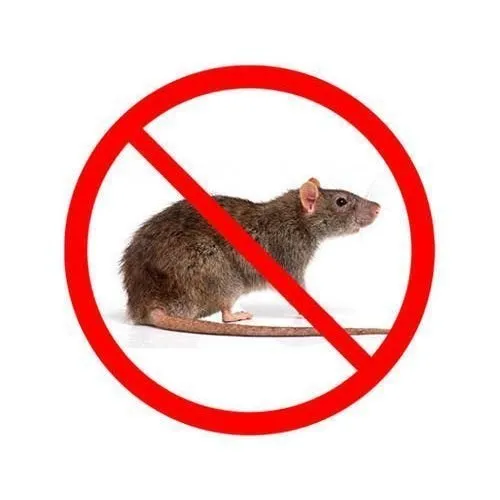 Rodent Control