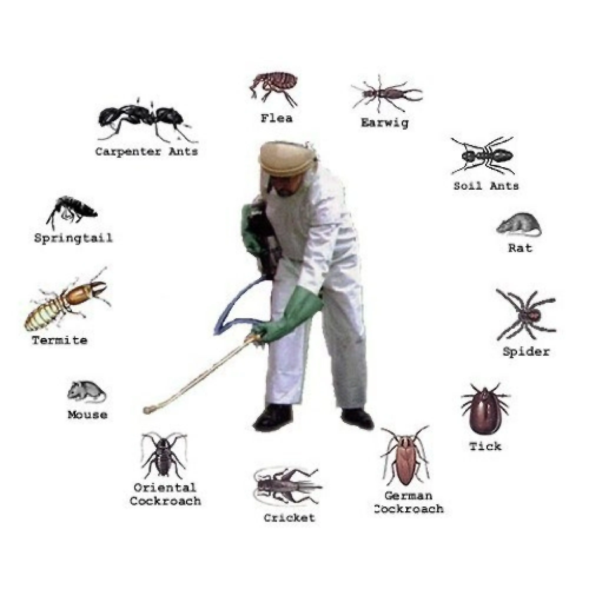General Pest Control