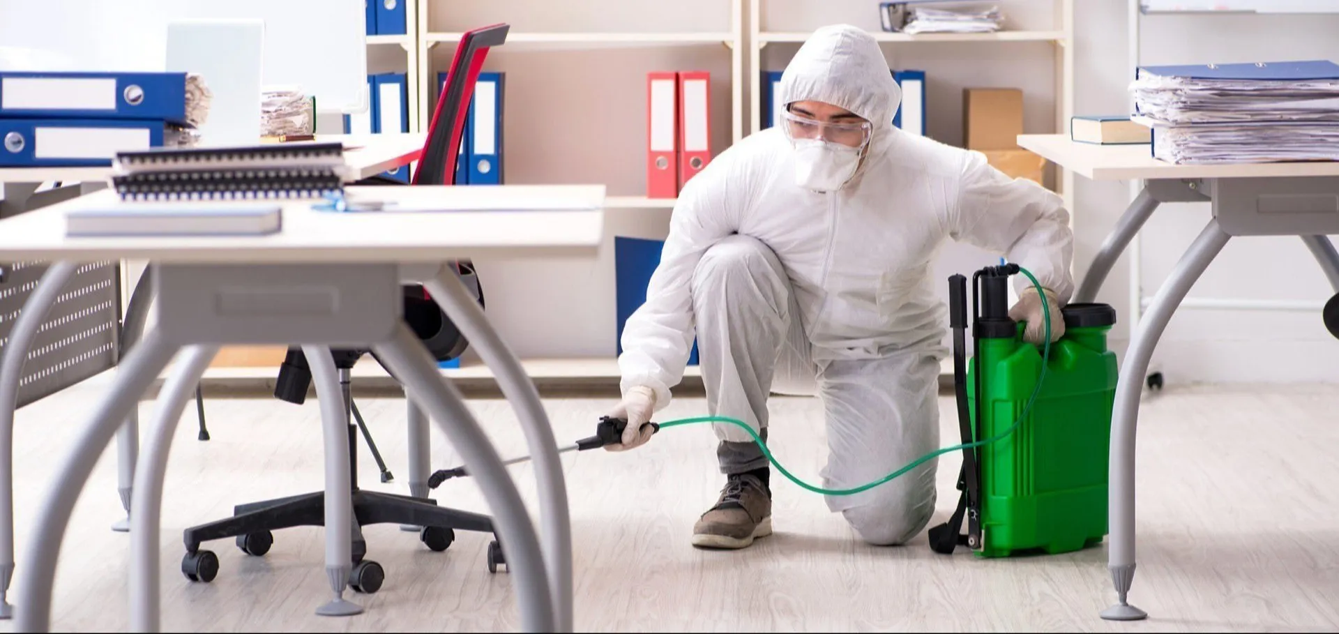 Office Pest Control