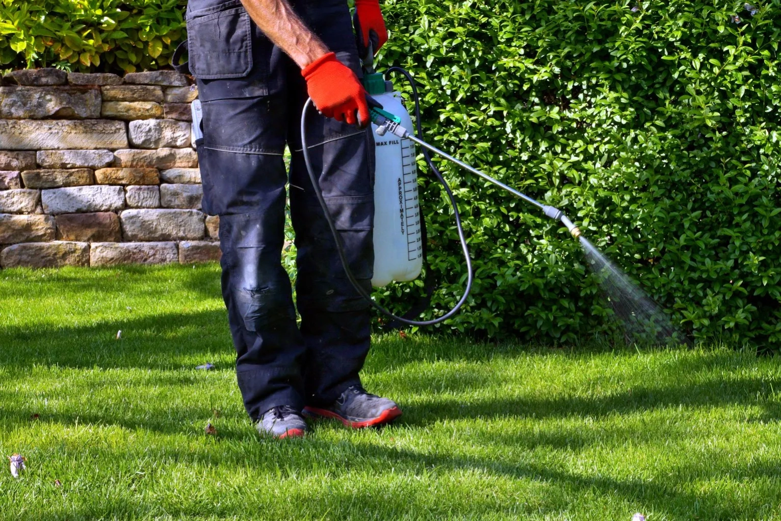 Herbal Pest Control
