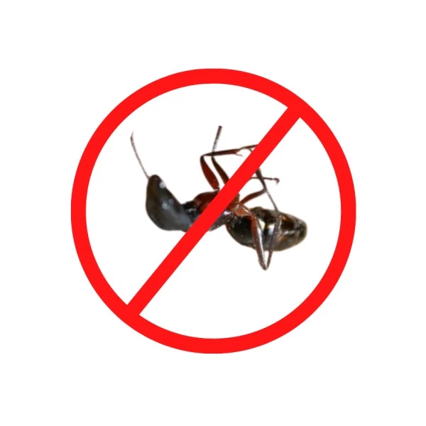 Ant Control