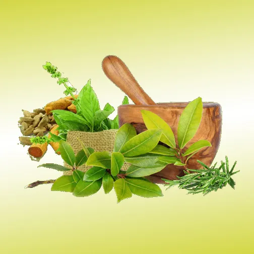Ayurvedic Medicines
