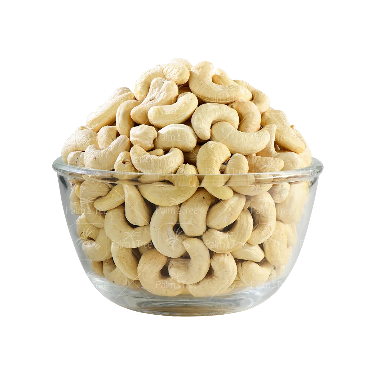 Kaju 320 (Cashew Nuts)