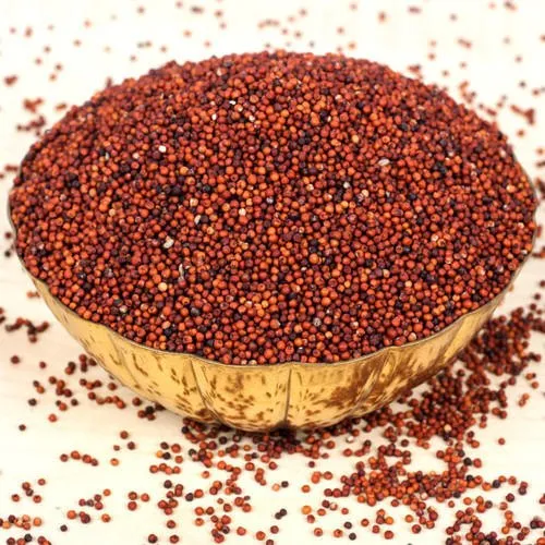 Ragi (Ragulu)