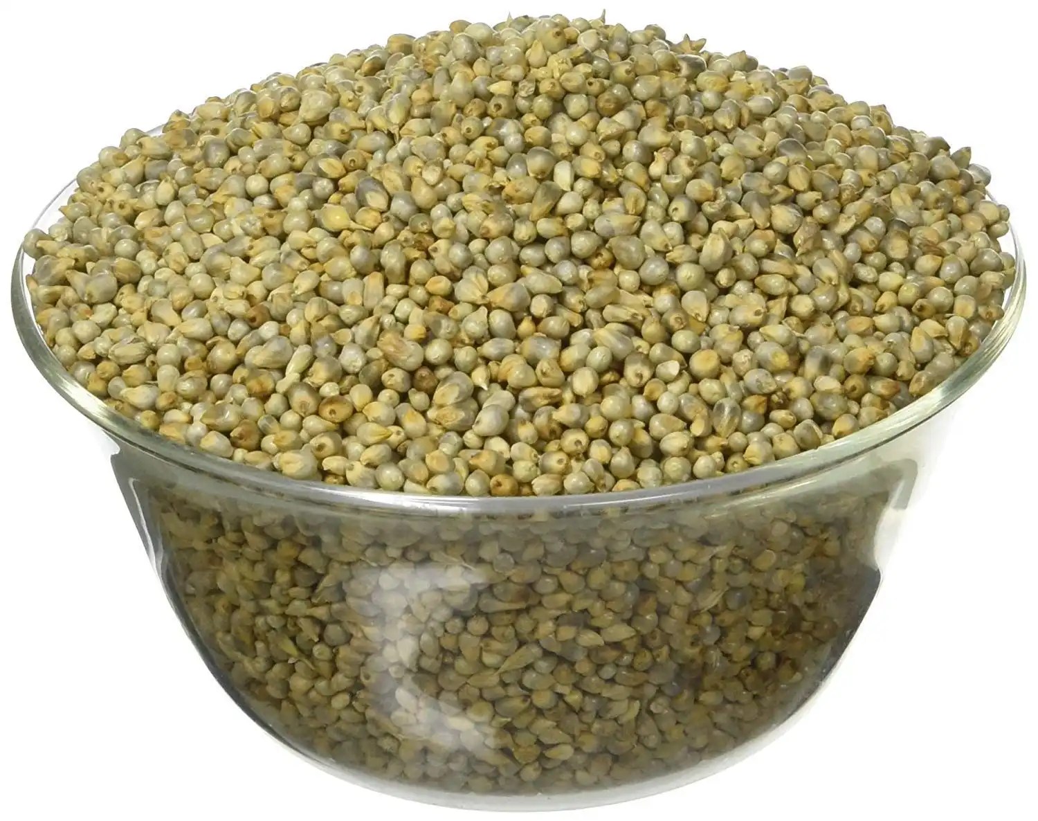 Sajjalu (Bajra)