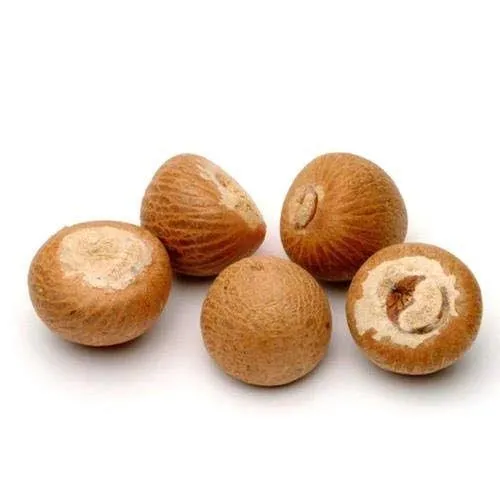 BETEL NUTS (PT Vakkalu)