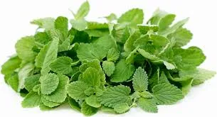 Mint Microgreens