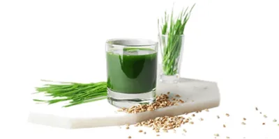 Wheat Grass Juice