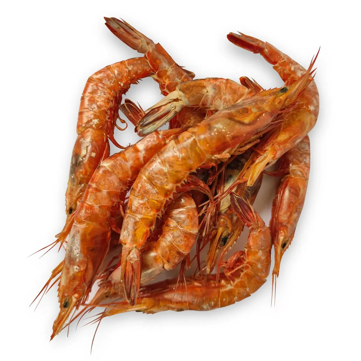 Big Dry Prawns