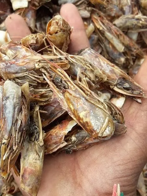 Dry Prawn Heads