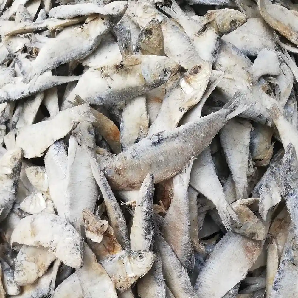 Dry Katla