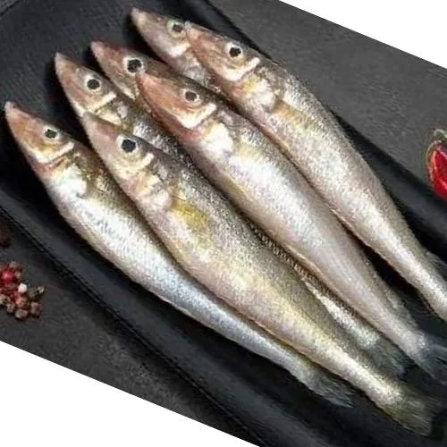 Dry Lady Fish