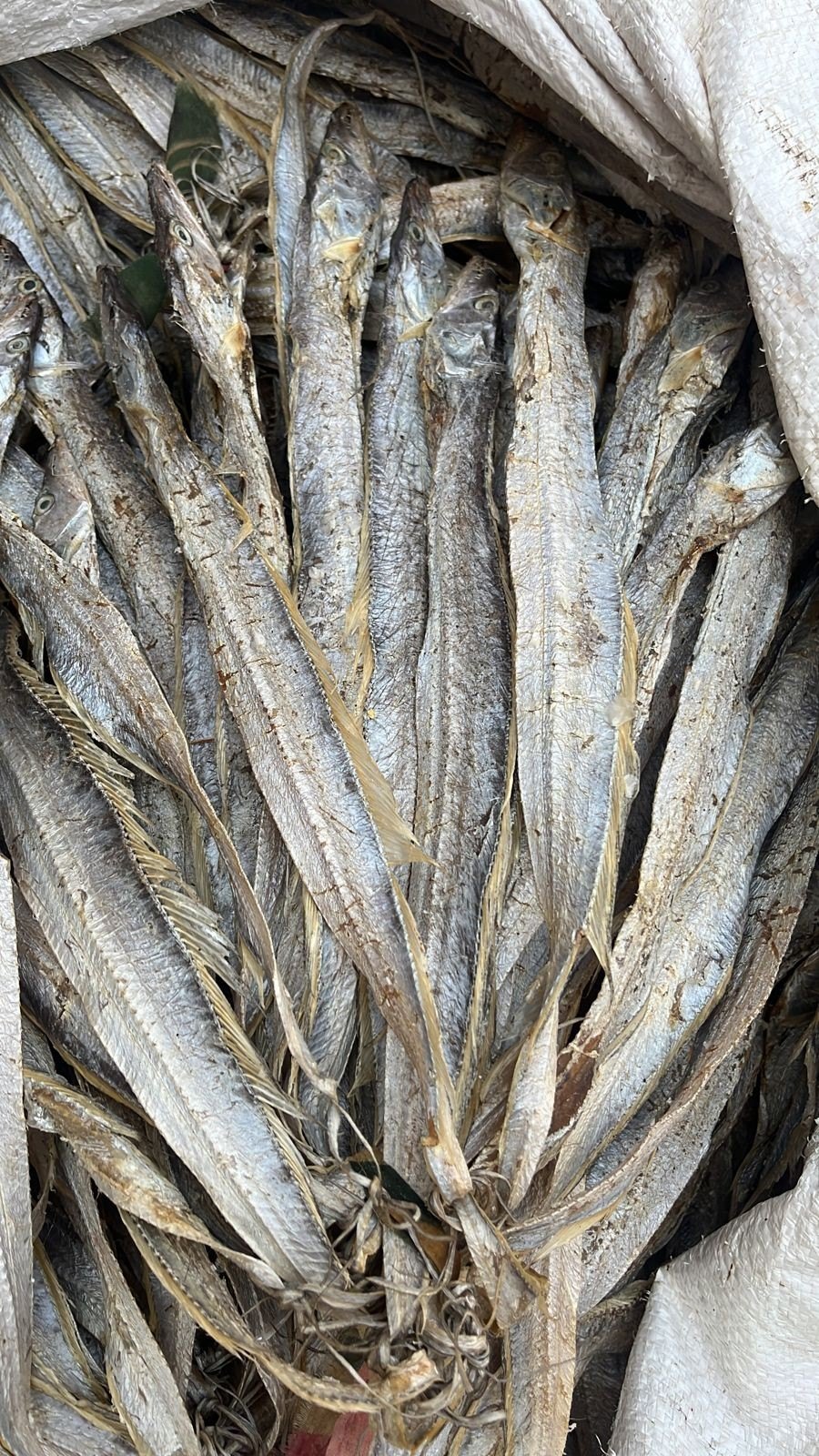 Dry Ribbon Fish
