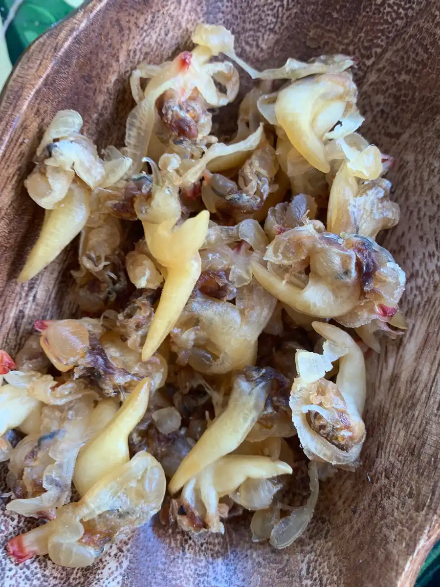Dry Clams