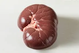 Beef Kidney