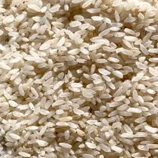 बादशाह भोग चावल